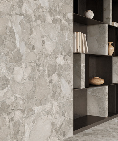 Roccia Fossile